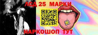 молекула духа Новозыбков