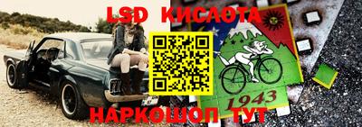 молекула духа Новозыбков
