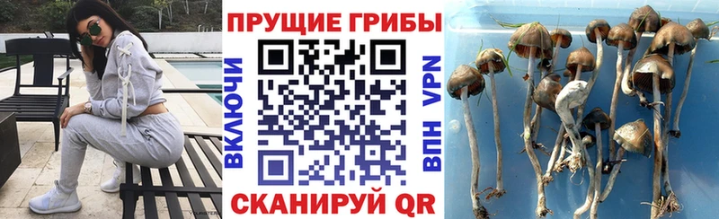 Псилоцибиновые грибы ЛСД  Югорск 