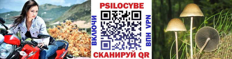 Галлюциногенные грибы Psilocybe Югорск